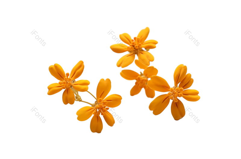 清新图片,白色背景元素,自然PNG,风景免抠素材